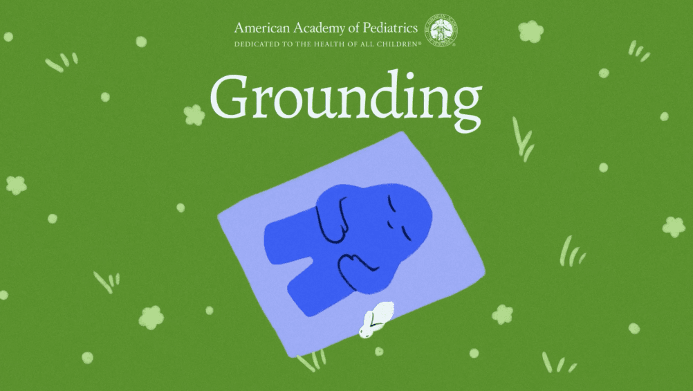 AAP_Cover.png