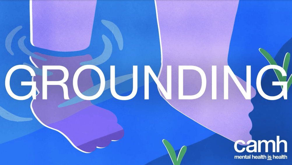 CAMH_Cover.png